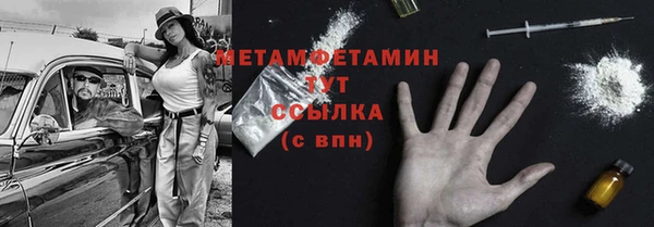 прущие грибы Елизово