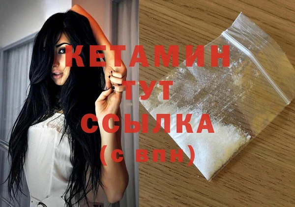 прущие грибы Елизово