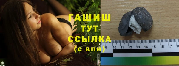 прущие грибы Елизово