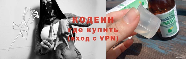 шишки Покачи
