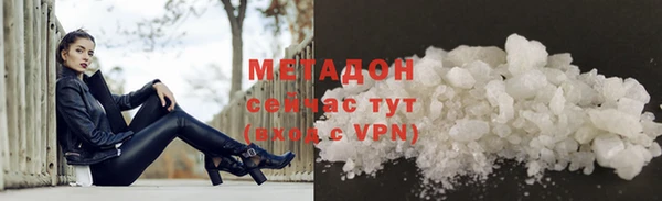 прущие грибы Елизово