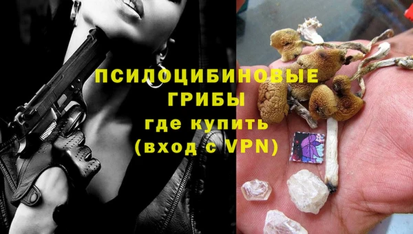 прущие грибы Елизово