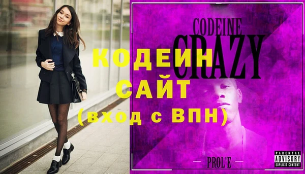 прущие грибы Елизово