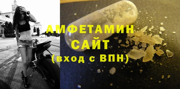 прущие грибы Елизово