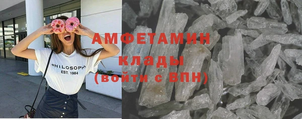 прущие грибы Елизово
