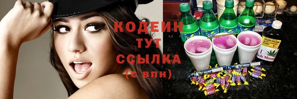 прущие грибы Елизово