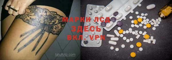 прущие грибы Елизово