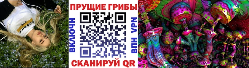даркнет наркотические препараты  где найти наркотики  Реж  Псилоцибиновые грибы Psilocybine cubensis 