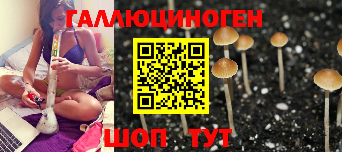 Галлюциногенные грибы GOLDEN TEACHER  где купить наркоту  Реж  Вход с VPN 